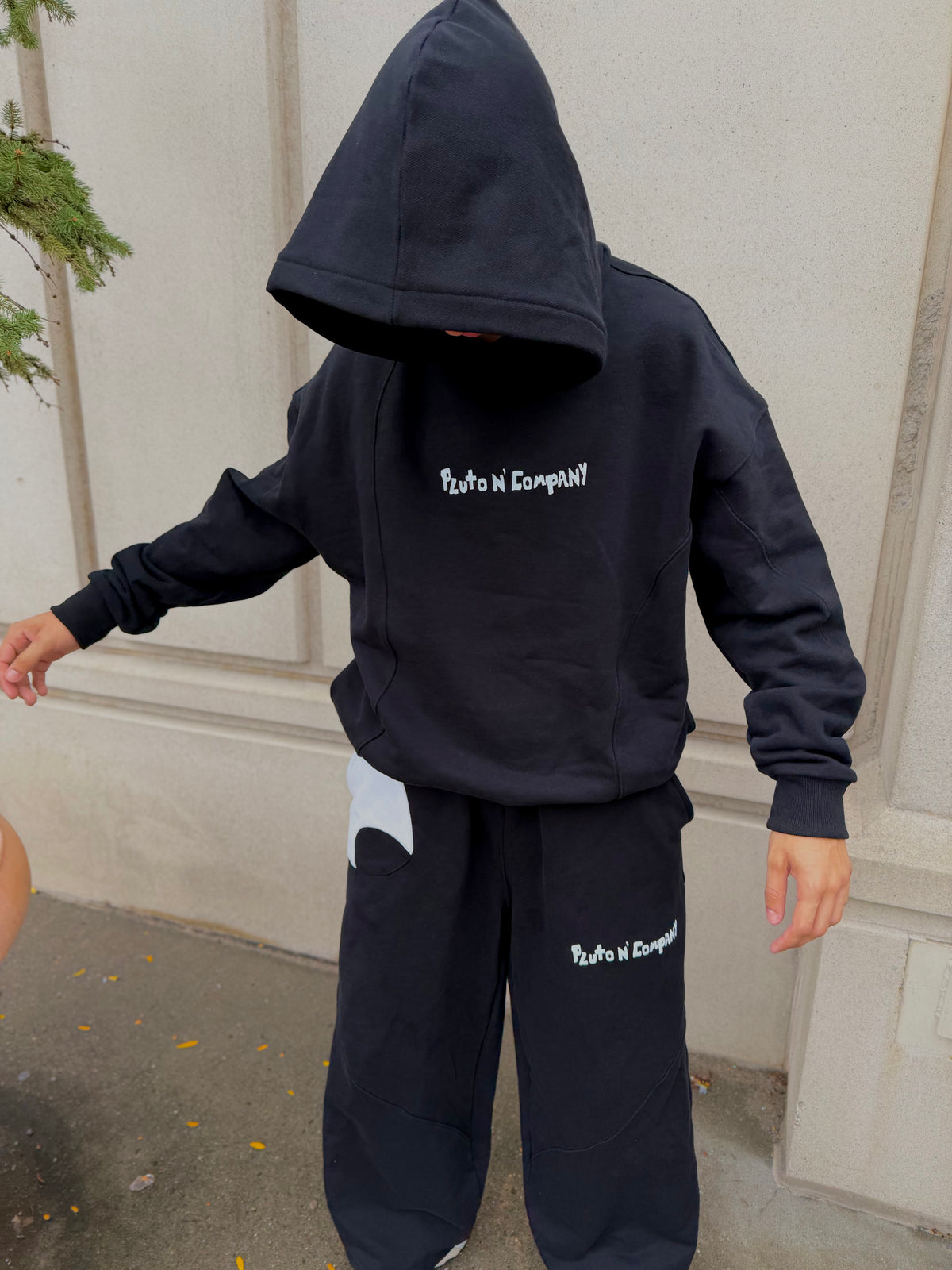 HOODIE PREORDER