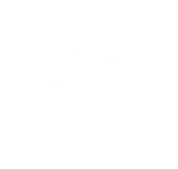 Pluto N Company 